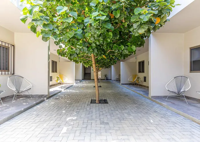 Centric In Downtown - Rooftop Pool - Terrace * Cabo San Lucas